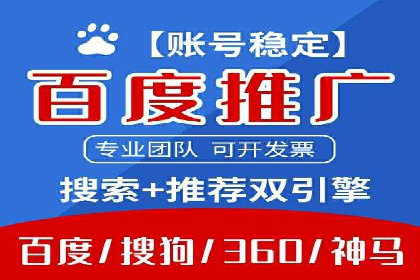 行业领先企业的SEM广告策略与效果分析