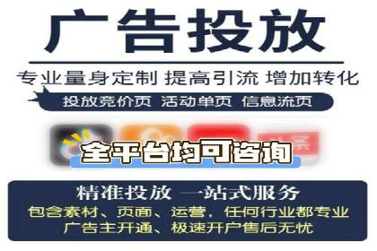 成功案例：SEM托管提升网站流量策略